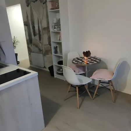 Le Doux Viking, Balcon & Parking Prive Proche Zenith דירה קאין