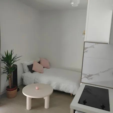 Le Doux Viking, Balcon & Parking Prive Proche Zenith * קאין