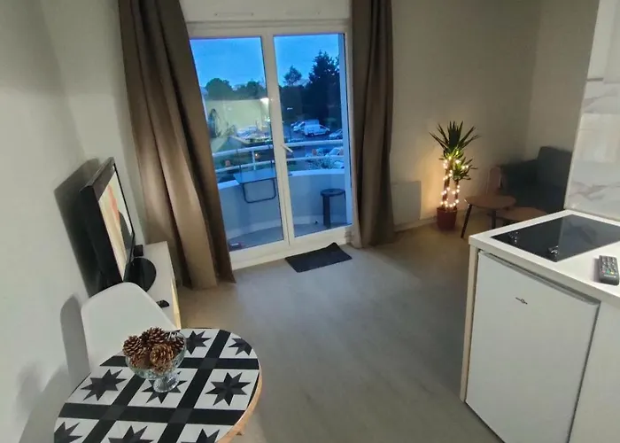 Apartment Le Doux Viking, Balcon & Parking Prive Proche Zenith