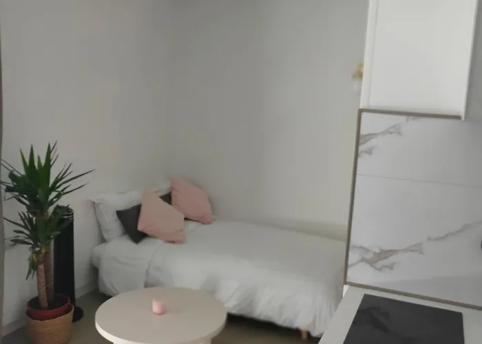 Le Doux Viking, Balcon & Parking Prive Proche Zenith Apartment *