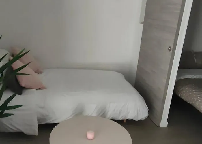 Apartment Le Doux Viking, Balcon & Parking Prive Proche Zenith *