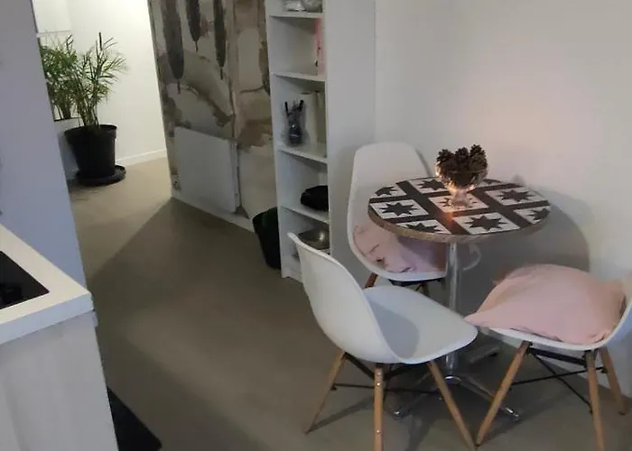 Apartment Le Doux Viking, Balcon & Parking Prive Proche Zenith *